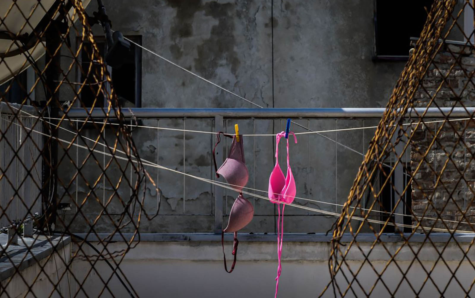 Sunburned Stories: A Summer Tale in Pictures